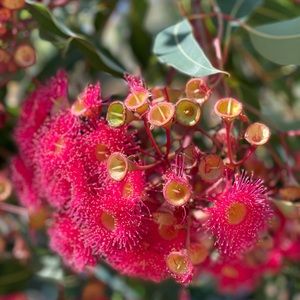 Meet your Posher, Nithiya